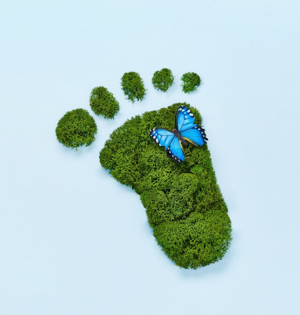 Carbon Footprint